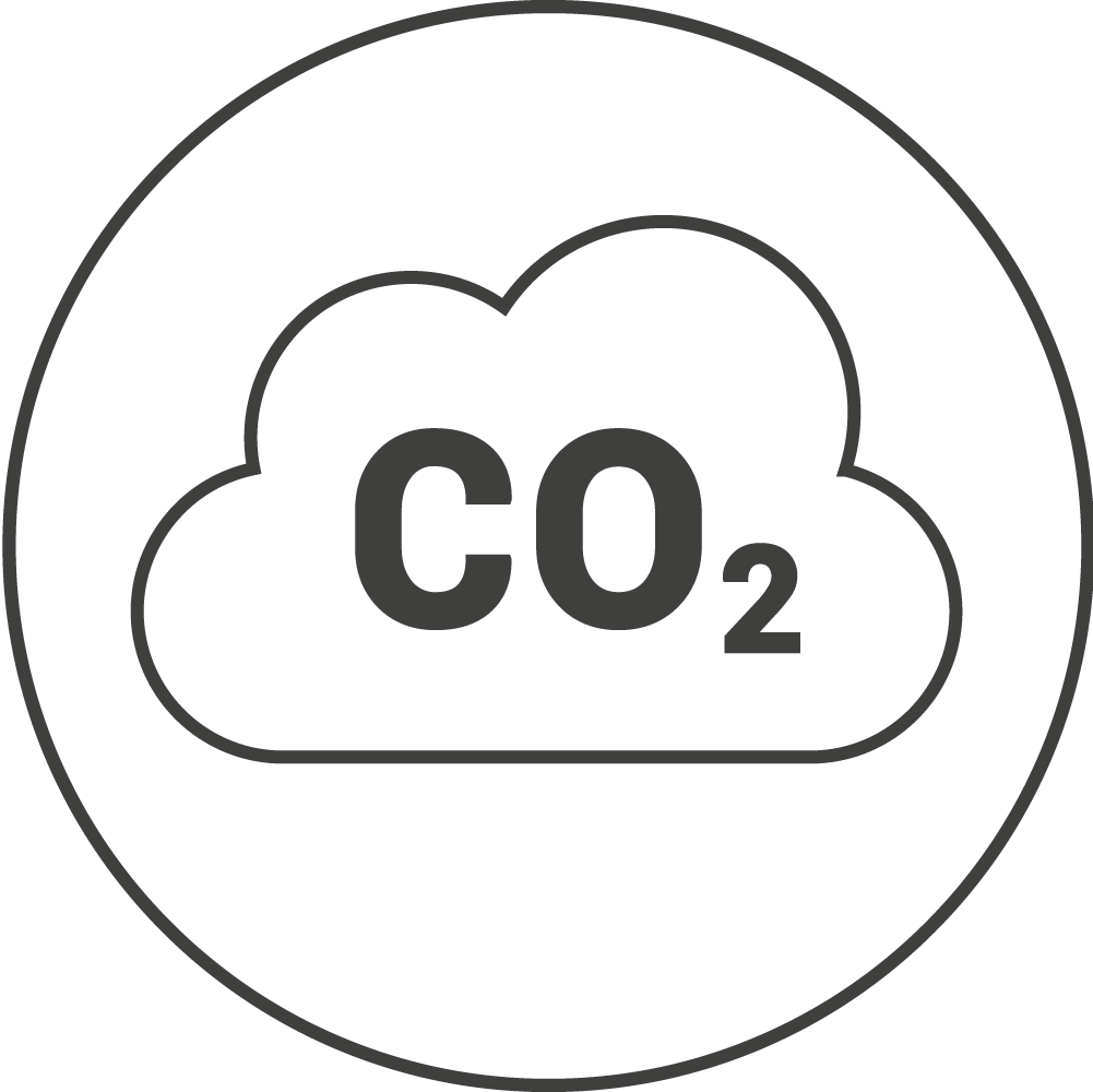 Icon Wolke mit CO2 Schriftzug